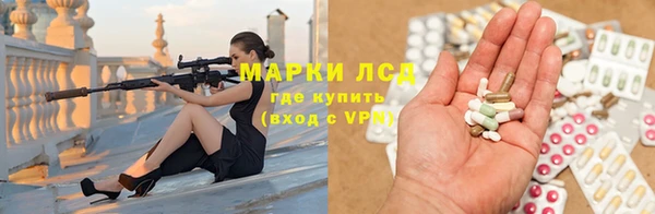 spice Аркадак