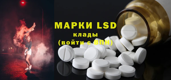 прущие грибы Алексин