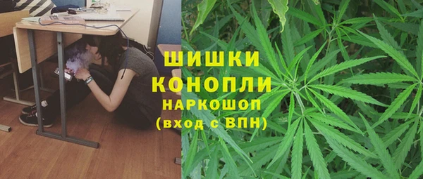spice Аркадак