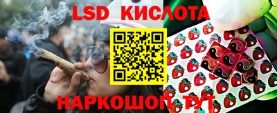 spice Краснознаменск