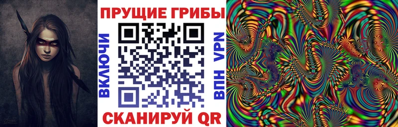 Галлюциногенные грибы мухоморы купить наркоту Коряжма