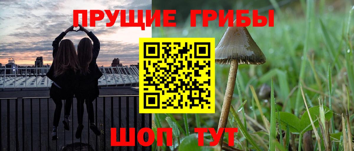 Коряжма  Галлюциногенные грибы Magic Shrooms  сколько стоит  Галлюциногенные грибы Cubensis  Вход с VPN 